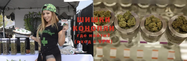 гашик Алексеевка