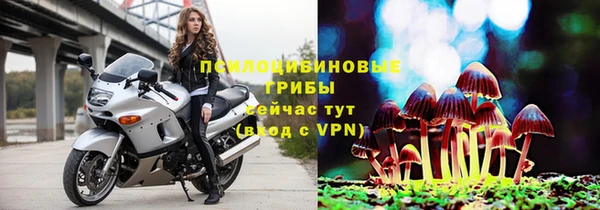 каннабис Алексин