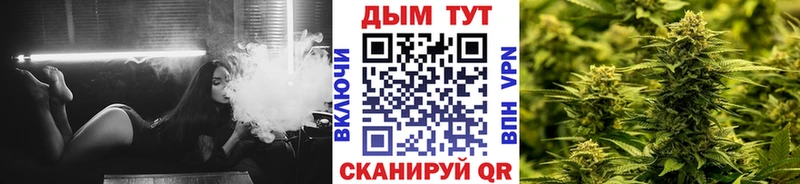 Бошки марихуана THC 21% KRAKEN tor Жирновск